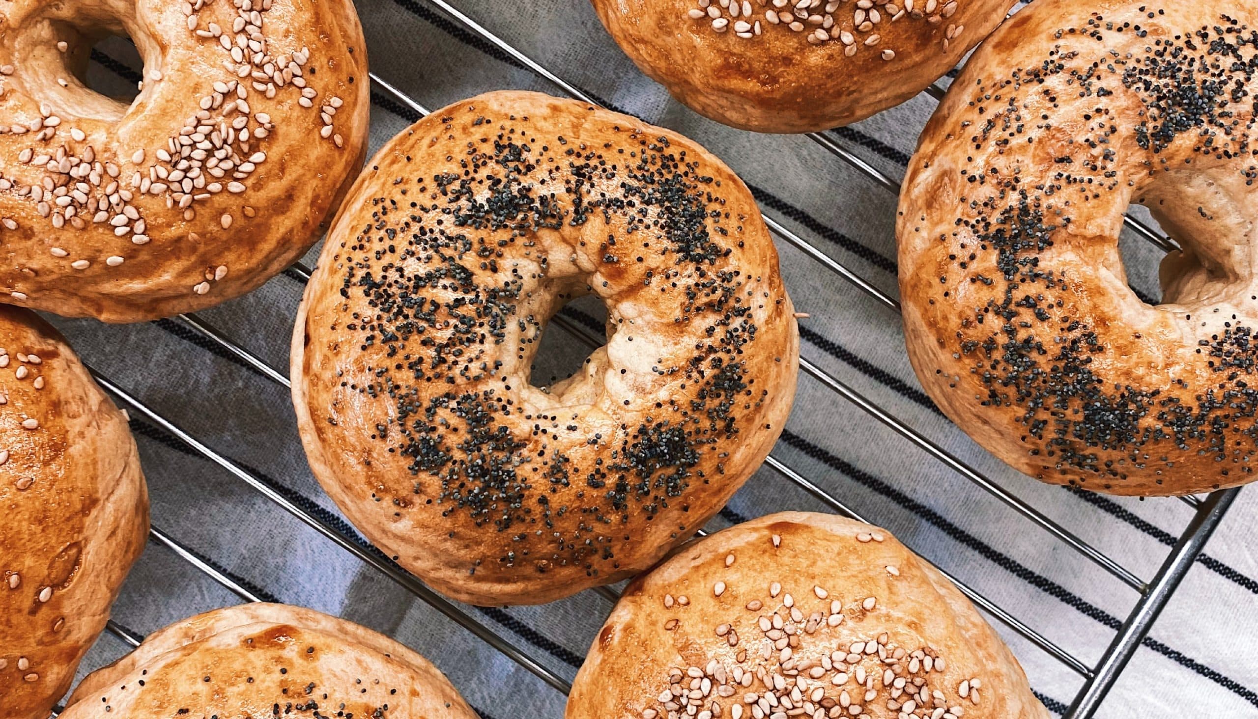 Order your Boichik samples today and experience the quality for yourself!